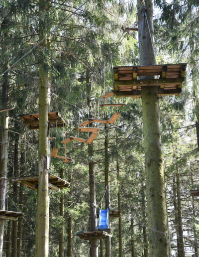Kletterwald – Balancetraining zwischen Bäumen