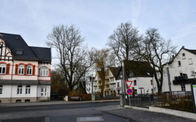 Fehlerhafte kommunale Baumregelkontrollen und ihre Konsequenzen